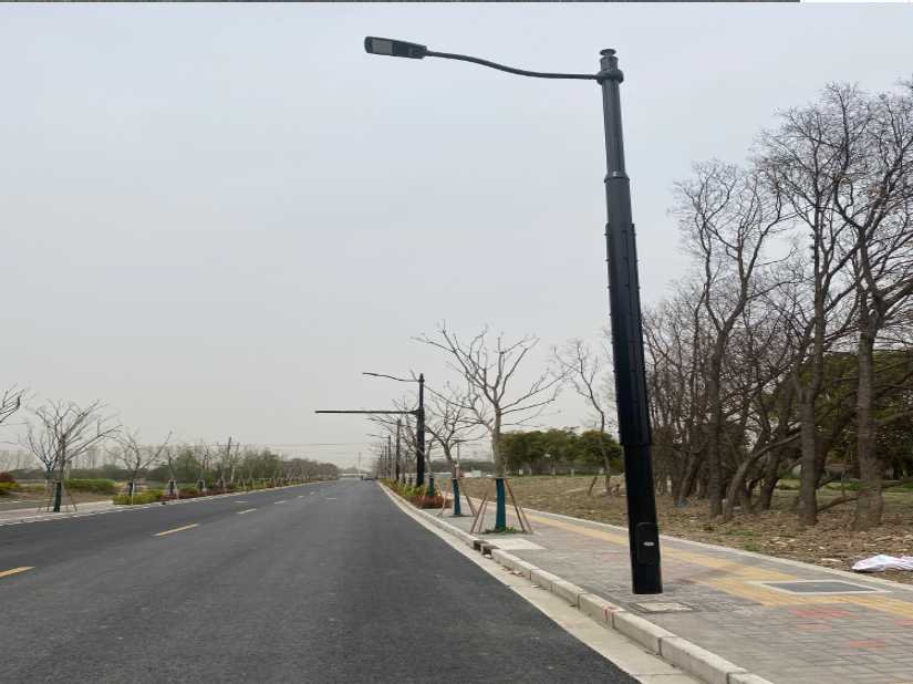 广汉市上海综合杆 太阳能路灯工程